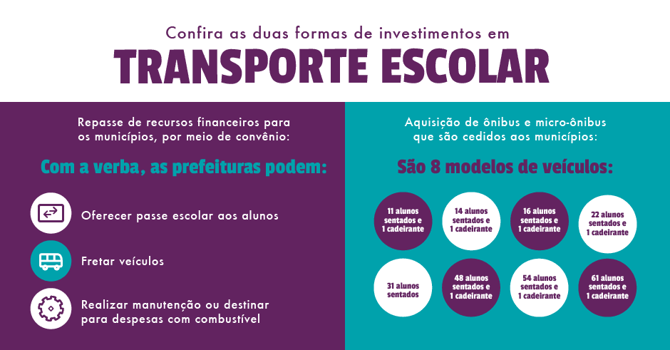 Infográfico mostrando os números do investimento da Educação Paulista no Transporte Escolar