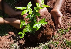 Escola Sapopemba revitaliza o ambiente escolar