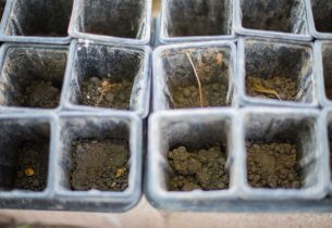 ‘Horta Educativa’ contribui para formação de uma geração mais sustentável