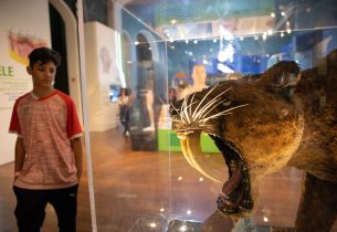 Casa Guilherme de Almeida celebra 40 anos com festa especial