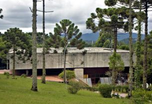 Museu Felícia Leirner apresenta Virada Inclusiva em dezembro