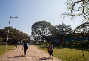 USP: Pró-Reitoria de Graduação apoia projetos de alunos voltados à comunidade