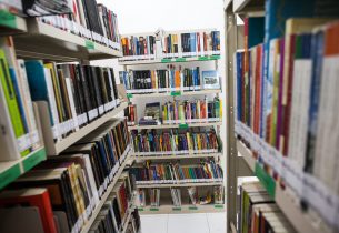 Fique por dentro dos cursos e oficinas online da Biblioteca Parque Villa-Lobos