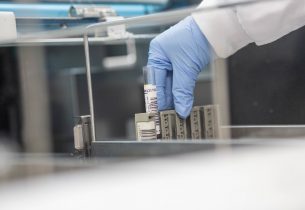 Pesquisadores da Unicamp desenvolvem fibra óptica feita de derivado de algas marinhas