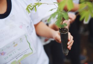 Semana do Meio Ambiente: Alunos da EE Professor Alvino Bittencourt trabalham consciência ambiental durante a pandemia