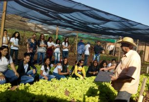Da horta para cozinha: eletiva de arte, em escola de Presidente Venceslau, incentiva alunos a plantarem hortaliças em casa
