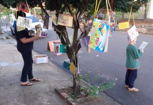 Professora de Adamantina pendura livros para doação em árvore na frente da sua casa