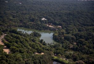 Preservação ambiental: Cetesb tem canais para atendimento e denúncias