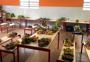 Projeto em escola no Alto da Lapa distribui cestas com produtos orgânicos a moradores de comunidades