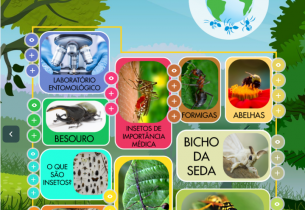 Público poderá visitar de forma virtual o único zoológico de insetos do Brasil