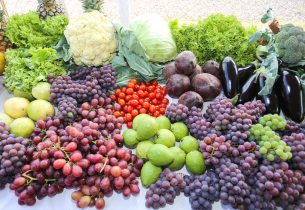 Fapesp: Plataforma eletrônica permite que agricultores aluguem colmeias