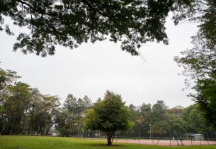 Pesquisadores da USP investigam mudanças climáticas e inovações no setor de gás