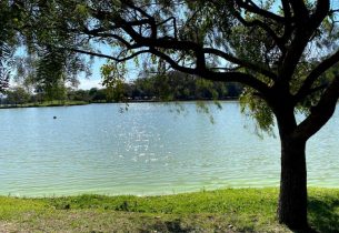 Parques urbanos estaduais na Grande SP reabrem aos fins de semana e feriados
