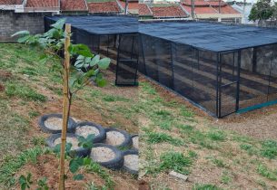 Escola estadual de Marília revitaliza espaço da horta durante a pandemia 