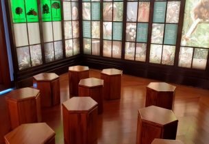 Museu do Instituto de Botânica é reformado