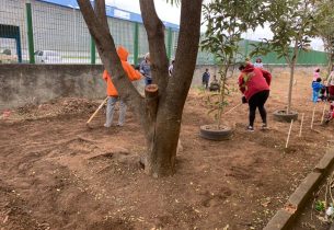 Escola Estadual de Mogi das Cruzes sedia projeto de agricultura comunitária