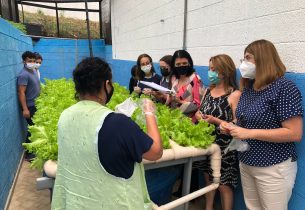 Escola de Suzano inova em produção de Horta Hidropônica