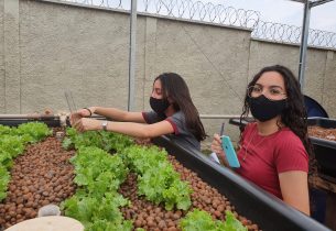 Projeto de sustentabilidade amplia desenvolvimento intelectual e acadêmico em Escola Estadual de Cravinhos