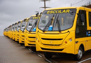 Secretaria da Educação entrega 169 ônibus escolares para municípios paulistas