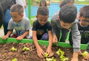Instalação de horta contribui para alimentação mais saudável de estudantes de escola em Ribeirão Pires
