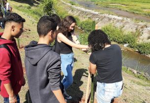 Dia do Meio Ambiente: Estudantes da rede estadual de Mauá plantam mudas em parque da cidade