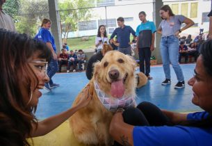 ‘Procão’ Paulista: Escola de SP recebe estudantes com pet terapia antes da avaliação