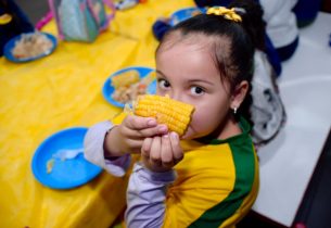 Milho no prato: SP distribui 3,5 milhões de espigas e escolas devem preparar receitas típicas de festa junina