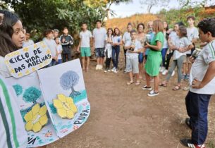 Projeto de alunos da rede estadual sobre proteção às abelhas vira lei em São José do Rio Preto
