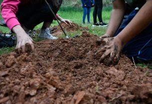 Escola da zona leste vai criar uma pequena floresta comunitária; plantio acontece nesta sexta-feira (3)