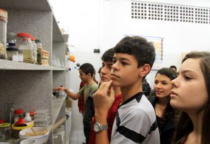 Escolas da rede estadual de São Paulo têm aumento no número de grêmios estudantis