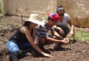 Projeto inovador com hortas, paisagismo e compostagem integra alunos e comunidade