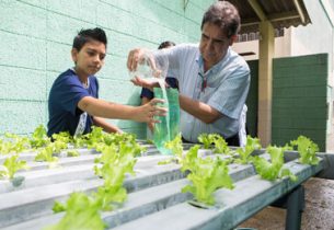 Projeto Horta Educativa incentiva a educação ambiental nas escolas da rede