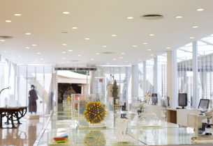 Museu da Microbiologia oferece atividades lúdicas e exposição biológica para alunos