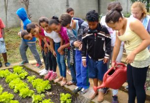 Horta na Escola Mogi
