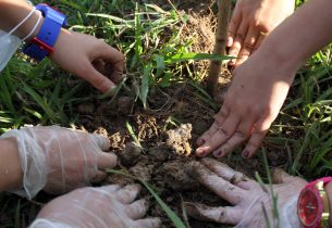 Projeto de sustentabilidade pode levar alunos da rede aos Emirados Árabes