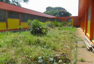 Escola transforma espaço ocioso em horta sustentável