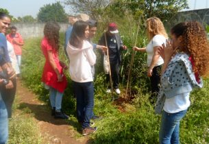 Alunos e professores plantam mudas de árvores da flora brasileira em escola estadual