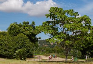 Parques estaduais são ótimas opções de passeios