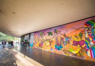 Exposição conta a história do Museu de Arte Moderna de São Paulo