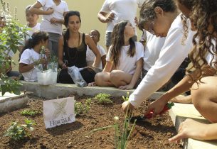 Confira os 30 finalistas da Feira de Ciências da Educação