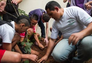 Alunos plantam árvores em atividade desenvolvida por professor-mediador